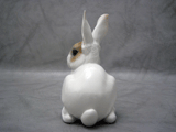 painted allach rabbit 61